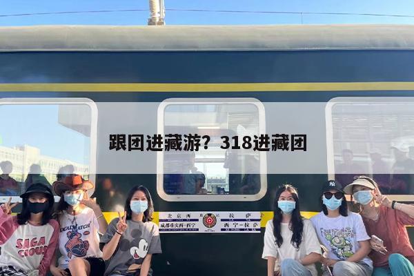 跟团进藏游？318进藏团