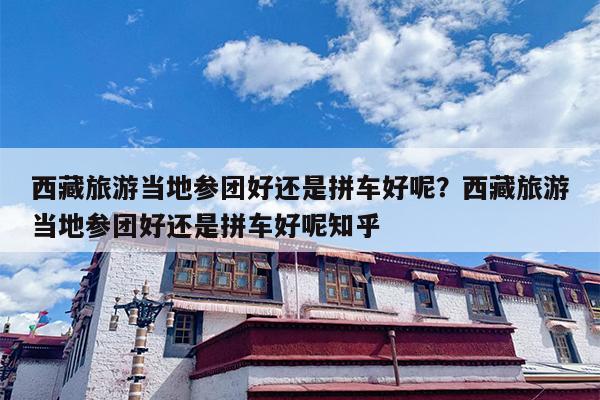 西藏旅游当地参团好还是拼车好呢？西藏旅游当地参团好还是拼车好呢知乎