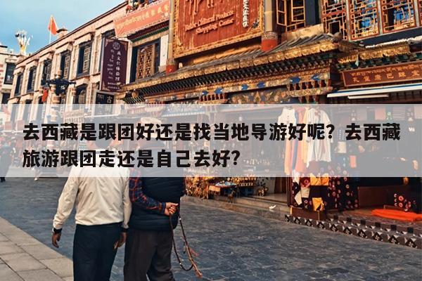 去西藏是跟团好还是找当地导游好呢？去西藏旅游跟团走还是自己去好?