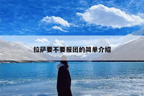 拉萨要不要报团的简单介绍