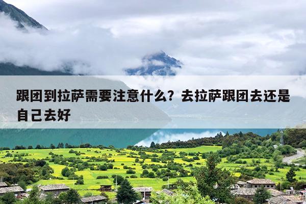 跟团到拉萨需要注意什么？去拉萨跟团去还是自己去好