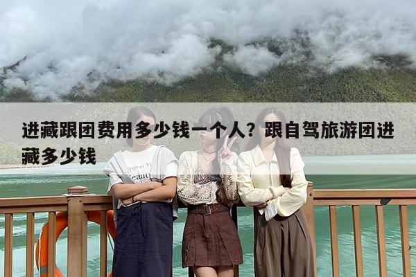 进藏跟团费用多少钱一个人？跟自驾旅游团进藏多少钱