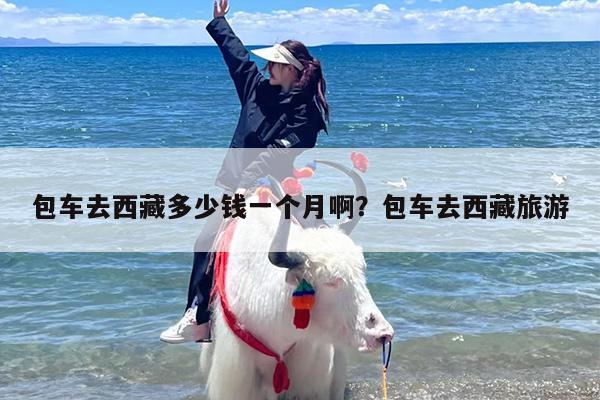 包车去西藏多少钱一个月啊？包车去西藏旅游