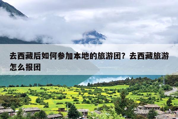 去西藏后如何参加本地的旅游团？去西藏旅游怎么报团