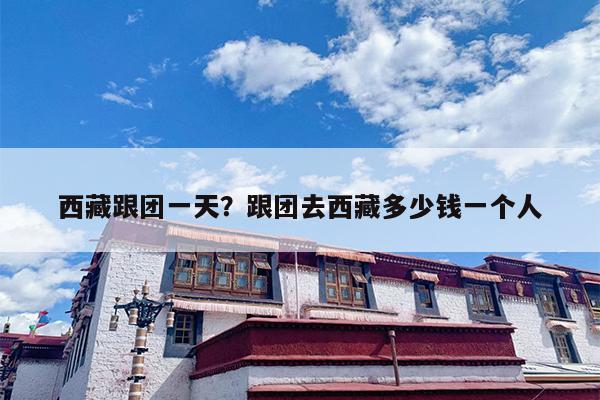 西藏跟团一天？跟团去西藏多少钱一个人