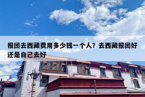 报团去西藏费用多少钱一个人？去西藏报团好还是自己去好