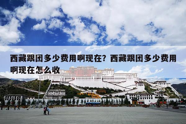 西藏跟团多少费用啊现在？西藏跟团多少费用啊现在怎么收