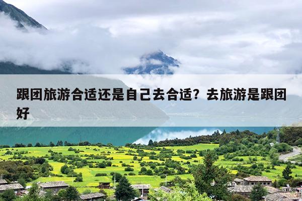 跟团旅游合适还是自己去合适？去旅游是跟团好