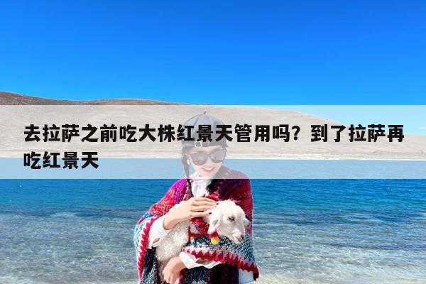 去拉萨之前吃大株红景天管用吗？到了拉萨再吃红景天