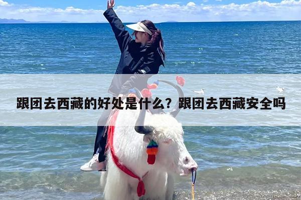 跟团去西藏的好处是什么？跟团去西藏安全吗