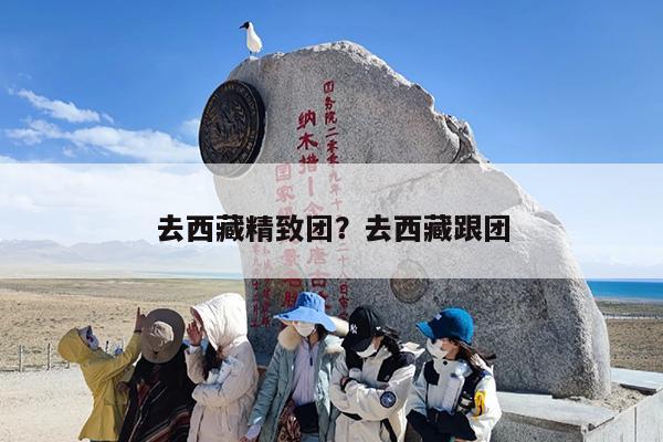 去西藏精致团？去西藏跟团