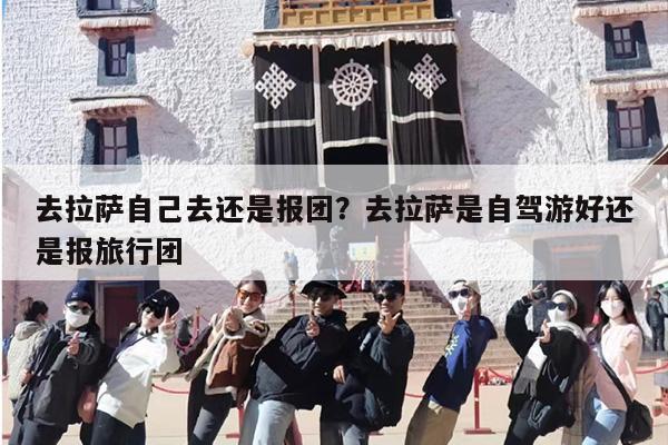 去拉萨自己去还是报团？去拉萨是自驾游好还是报旅行团
