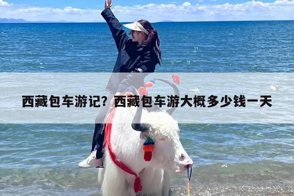 西藏包车游记？西藏包车游大概多少钱一天