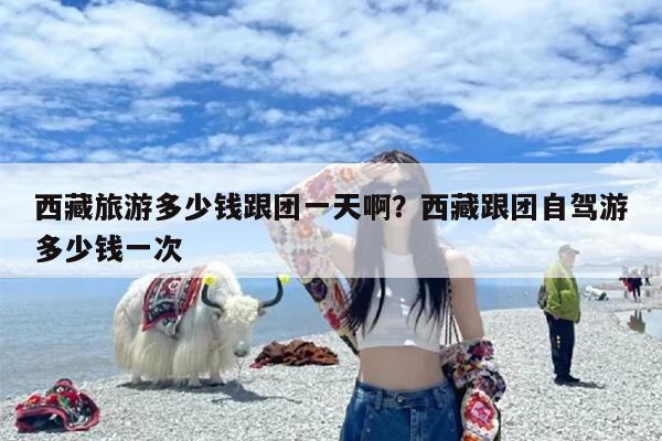 西藏旅游多少钱跟团一天啊？西藏跟团自驾游多少钱一次