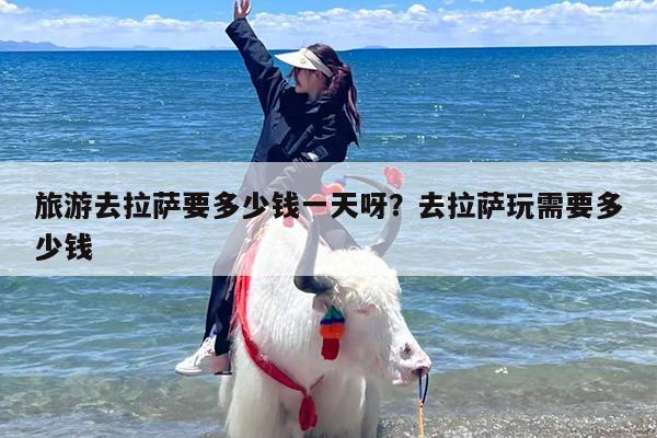 旅游去拉萨要多少钱一天呀？去拉萨玩需要多少钱
