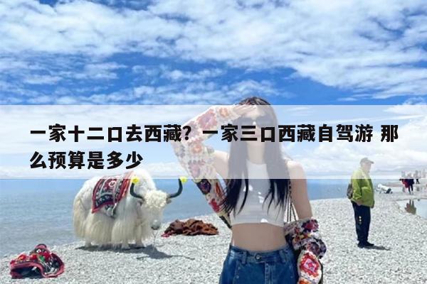 一家十二口去西藏？一家三口西藏自驾游 那么预算是多少