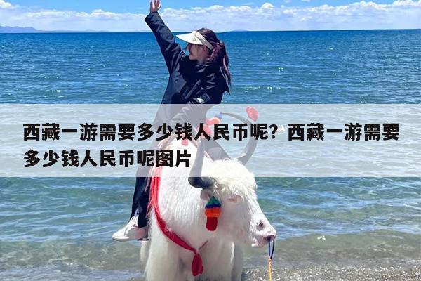 西藏一游需要多少钱人民币呢？西藏一游需要多少钱人民币呢图片
