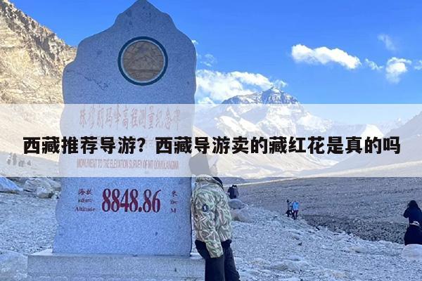 西藏推荐导游？西藏导游卖的藏红花是真的吗