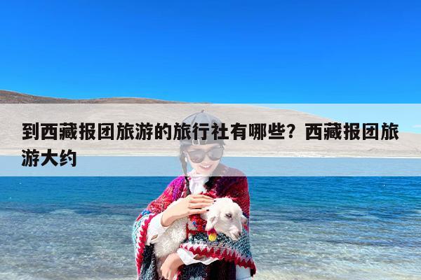 到西藏报团旅游的旅行社有哪些？西藏报团旅游大约