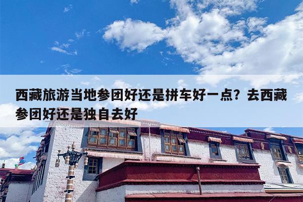 西藏旅游当地参团好还是拼车好一点？去西藏参团好还是独自去好