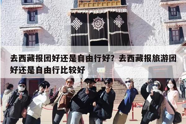 去西藏报团好还是自由行好？去西藏报旅游团好还是自由行比较好