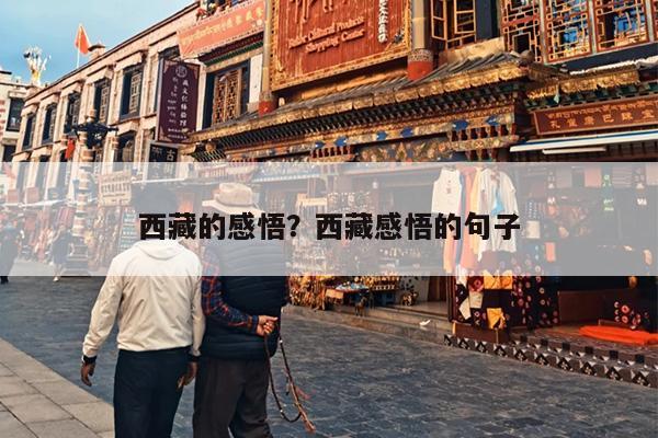 西藏的感悟？西藏感悟的句子