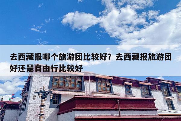 去西藏报哪个旅游团比较好？去西藏报旅游团好还是自由行比较好