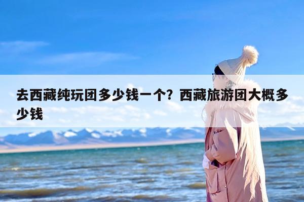去西藏纯玩团多少钱一个？西藏旅游团大概多少钱