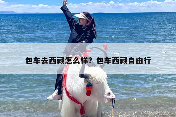 包车去西藏怎么样？包车西藏自由行