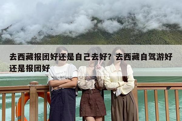 去西藏报团好还是自己去好？去西藏自驾游好还是报团好