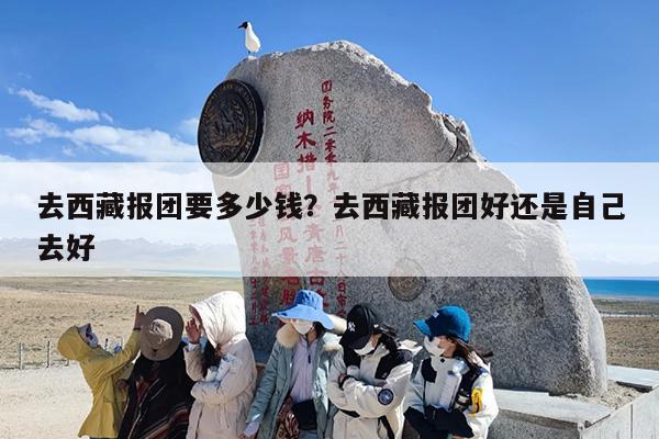去西藏报团要多少钱？去西藏报团好还是自己去好