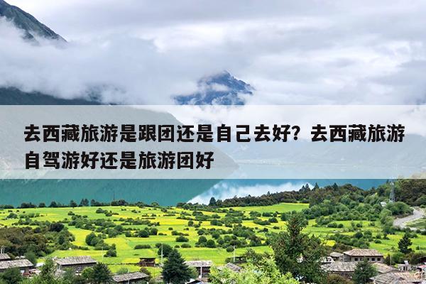 去西藏旅游是跟团还是自己去好？去西藏旅游自驾游好还是旅游团好