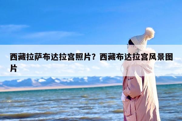 西藏拉萨布达拉宫照片？西藏布达拉宫风景图片