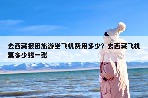 去西藏报团旅游坐飞机费用多少？去西藏飞机票多少钱一张