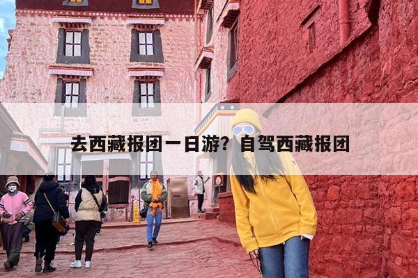 去西藏报团一日游？自驾西藏报团