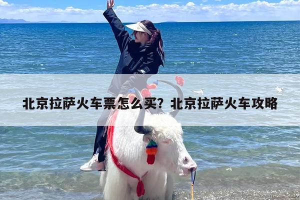 北京拉萨火车票怎么买？北京拉萨火车攻略