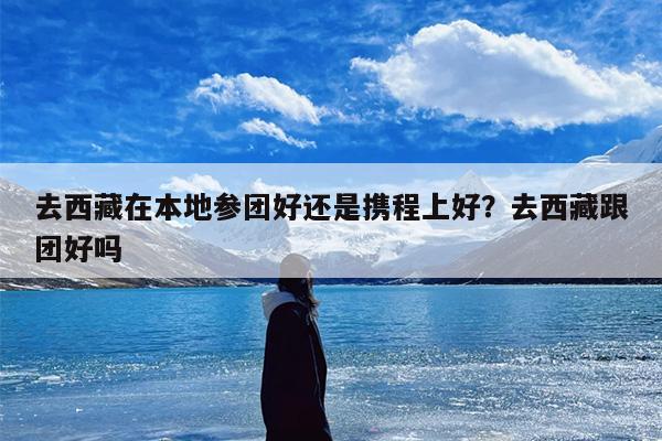 去西藏在本地参团好还是携程上好？去西藏跟团好吗