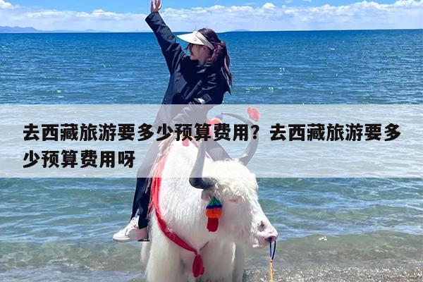 去西藏旅游要多少预算费用？去西藏旅游要多少预算费用呀