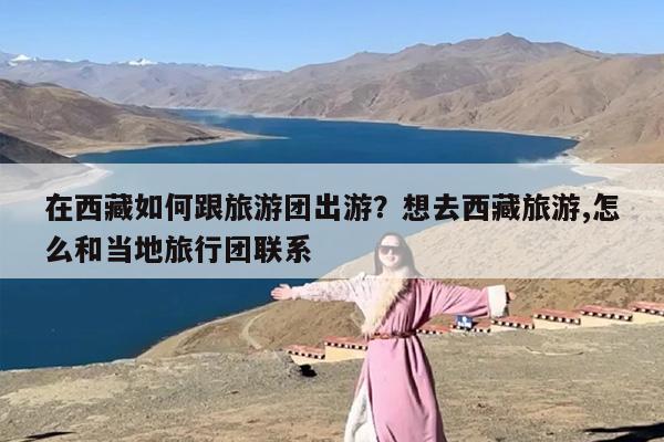在西藏如何跟旅游团出游？想去西藏旅游,怎么和当地旅行团联系