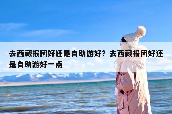去西藏报团好还是自助游好？去西藏报团好还是自助游好一点