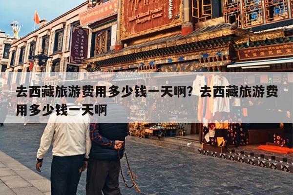 去西藏旅游费用多少钱一天啊？去西藏旅游费用多少钱一天啊