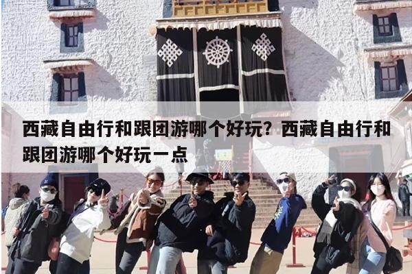 西藏自由行和跟团游哪个好玩？西藏自由行和跟团游哪个好玩一点