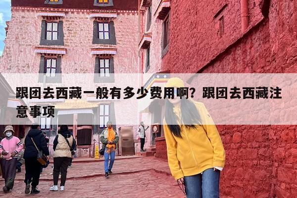 跟团去西藏一般有多少费用啊？跟团去西藏注意事项