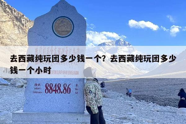 去西藏纯玩团多少钱一个？去西藏纯玩团多少钱一个小时