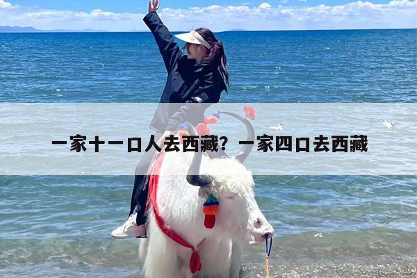 一家十一口人去西藏？一家四口去西藏