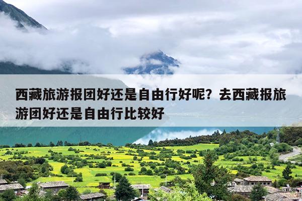 西藏旅游报团好还是自由行好呢？去西藏报旅游团好还是自由行比较好