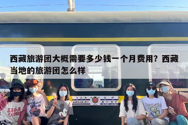 西藏旅游团大概需要多少钱一个月费用？西藏当地的旅游团怎么样