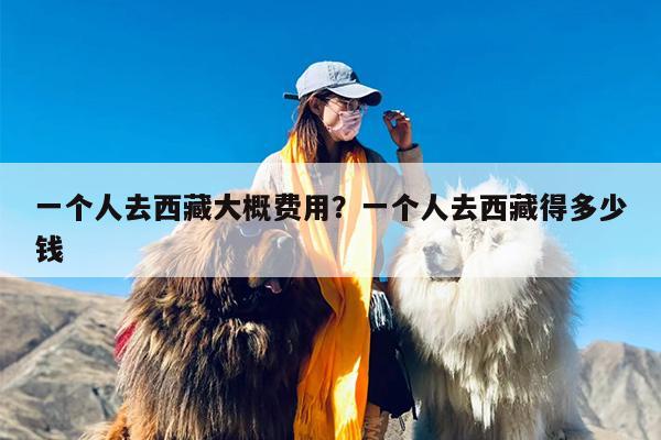 一个人去西藏大概费用？一个人去西藏得多少钱