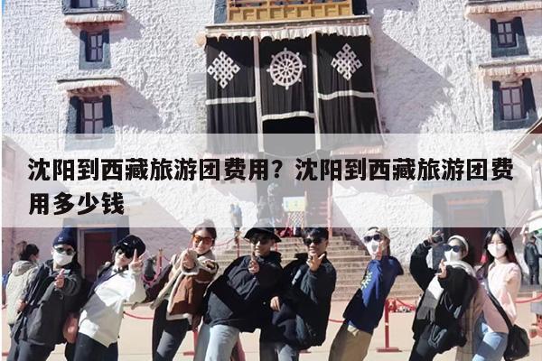 沈阳到西藏旅游团费用？沈阳到西藏旅游团费用多少钱