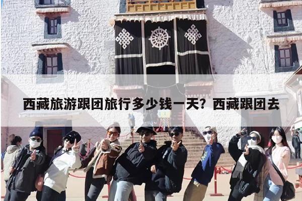 西藏旅游跟团旅行多少钱一天？西藏跟团去